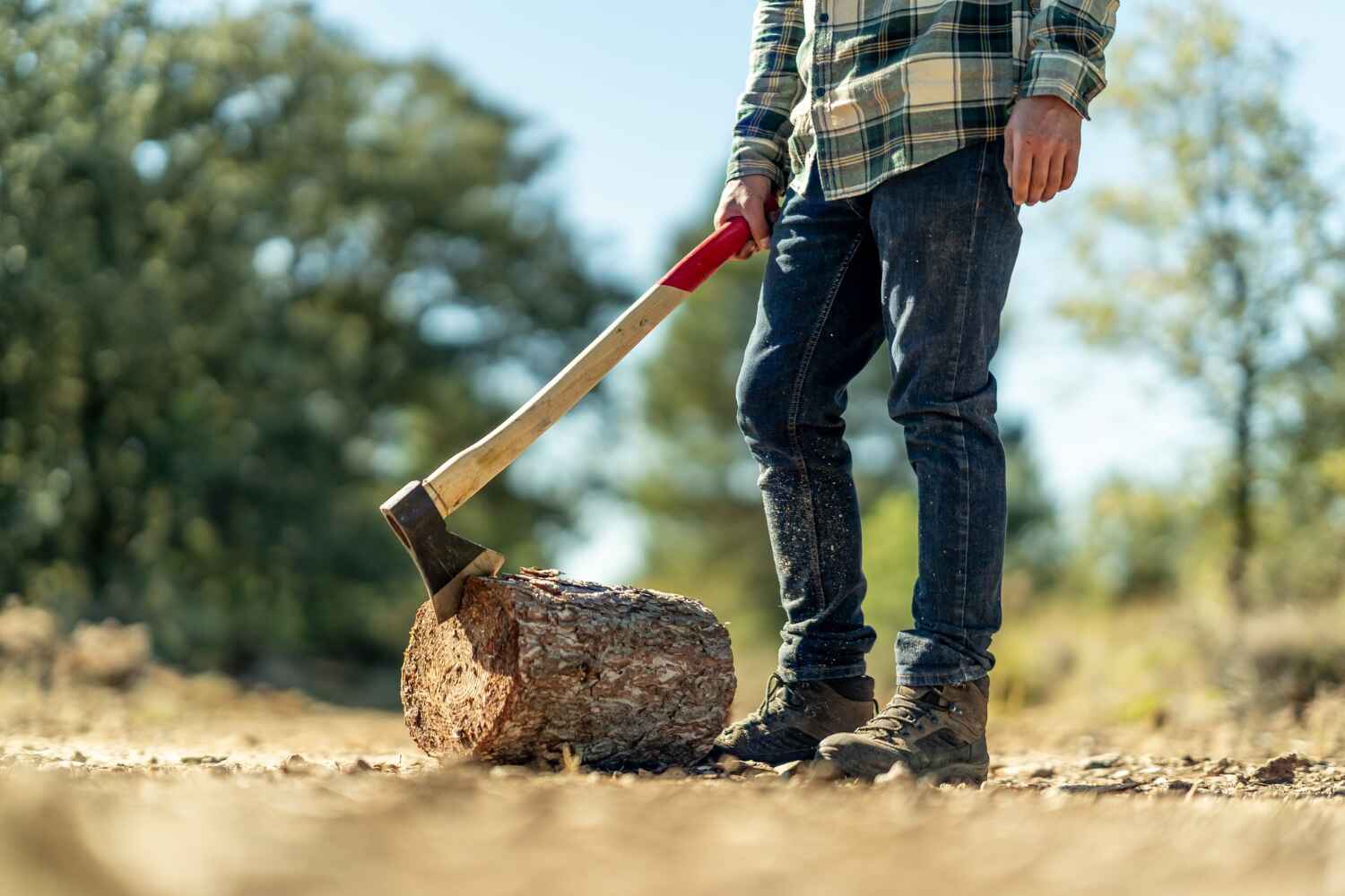 The Steps Involved in Our Tree Care Process in Pittsburg, TX